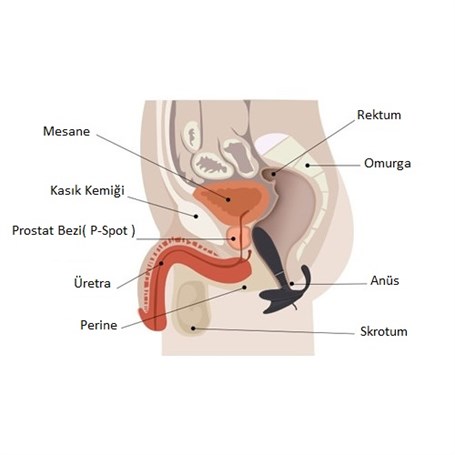 Anal & Prostat Stimulator 7 Farklı Titreşimli Anal Plug P-Spot Vibratör görsel 3