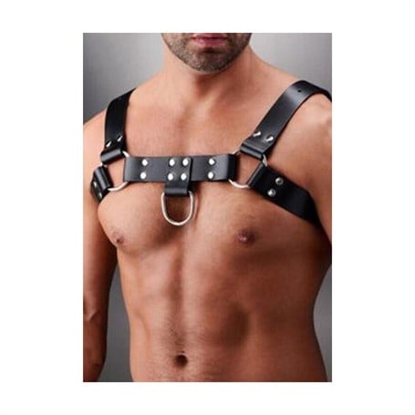 Fetish Dream Erkek Harness Deri Kemer görsel 3